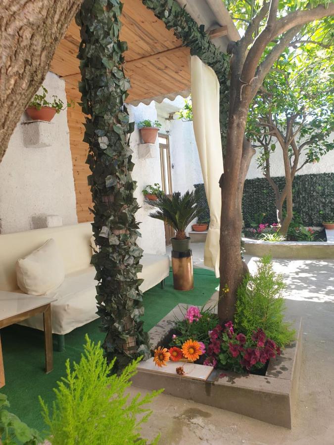 Casa Vacanze Con Giardino E Area Barbecue Martis ภายนอก รูปภาพ