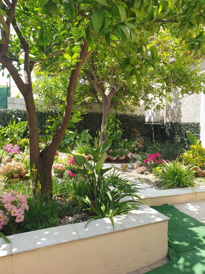 Casa Vacanze Con Giardino E Area Barbecue Martis ภายนอก รูปภาพ